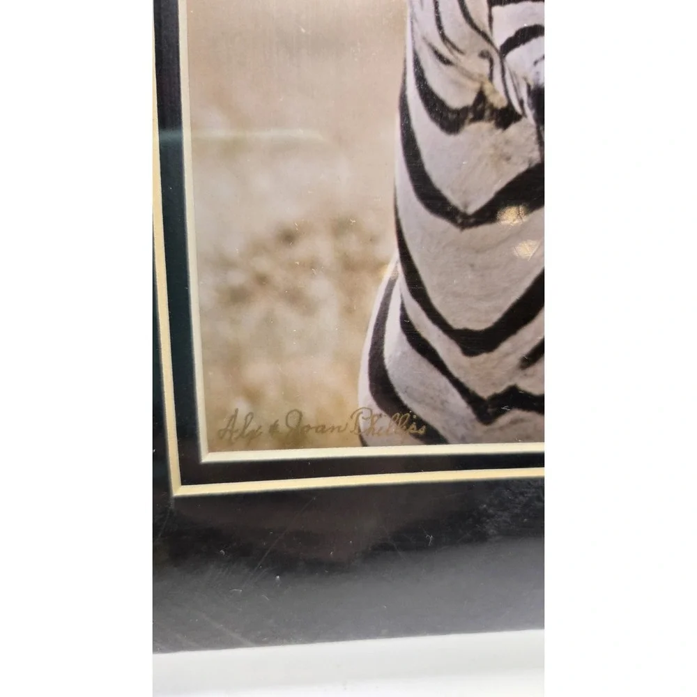 Chicago Vintage 1984 Zebra Safari Photography Sealed Striped Elegance Africa Art - Picture 3 of 11